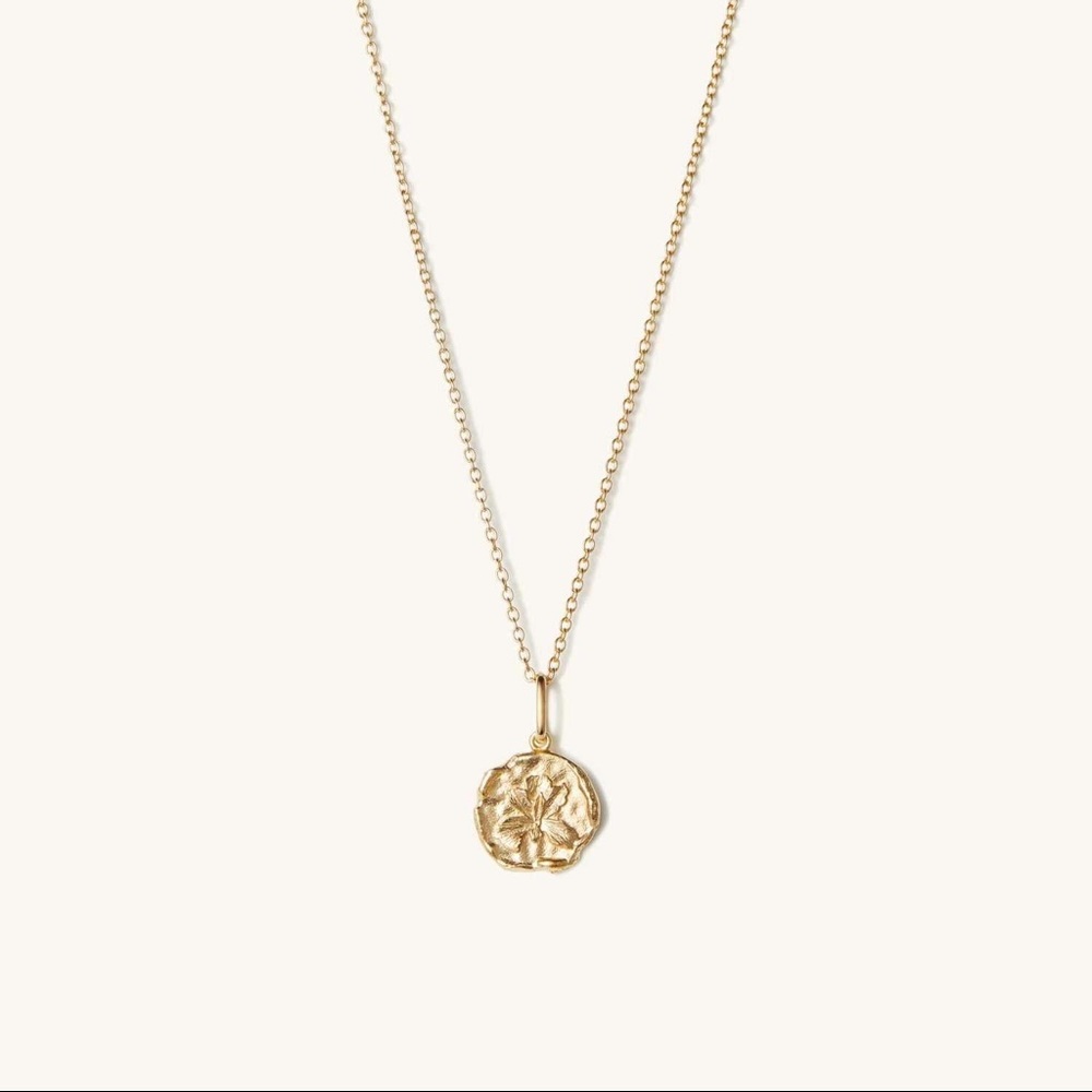 Mejuri iris medallion necklace